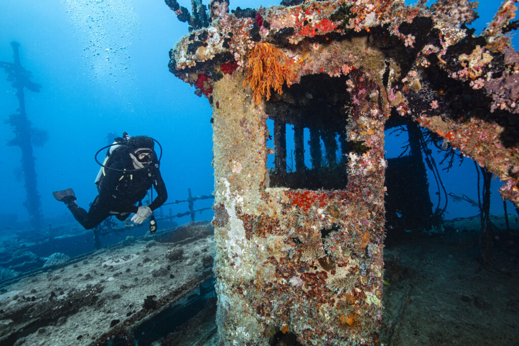 Diver Donovan Capozzola explores the Tasu Wreck dive site