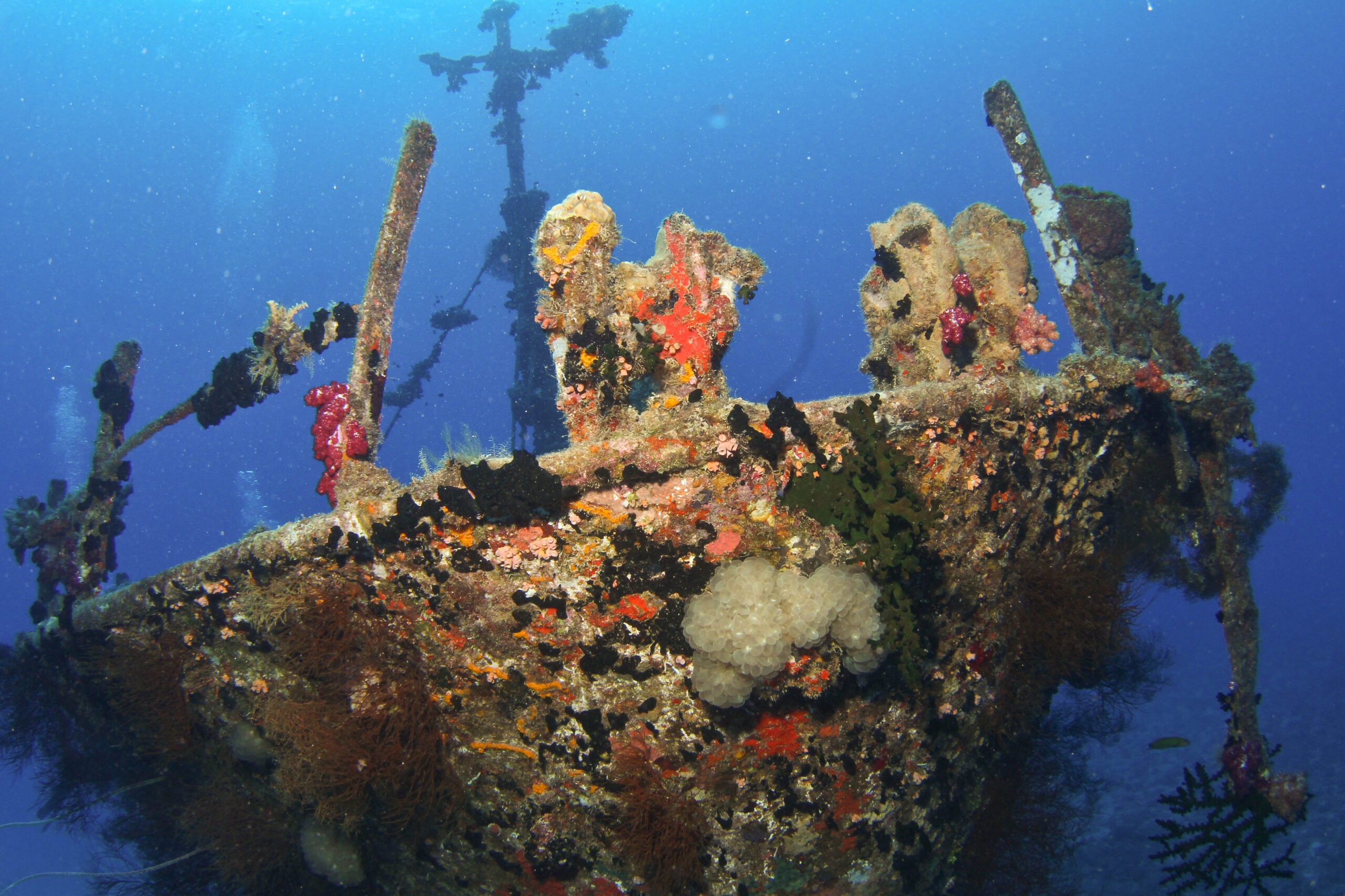 Fiji wreck dive