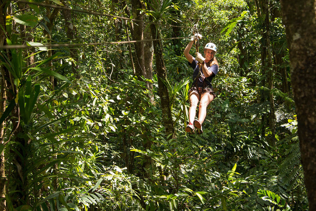 Zip line through the rainforest