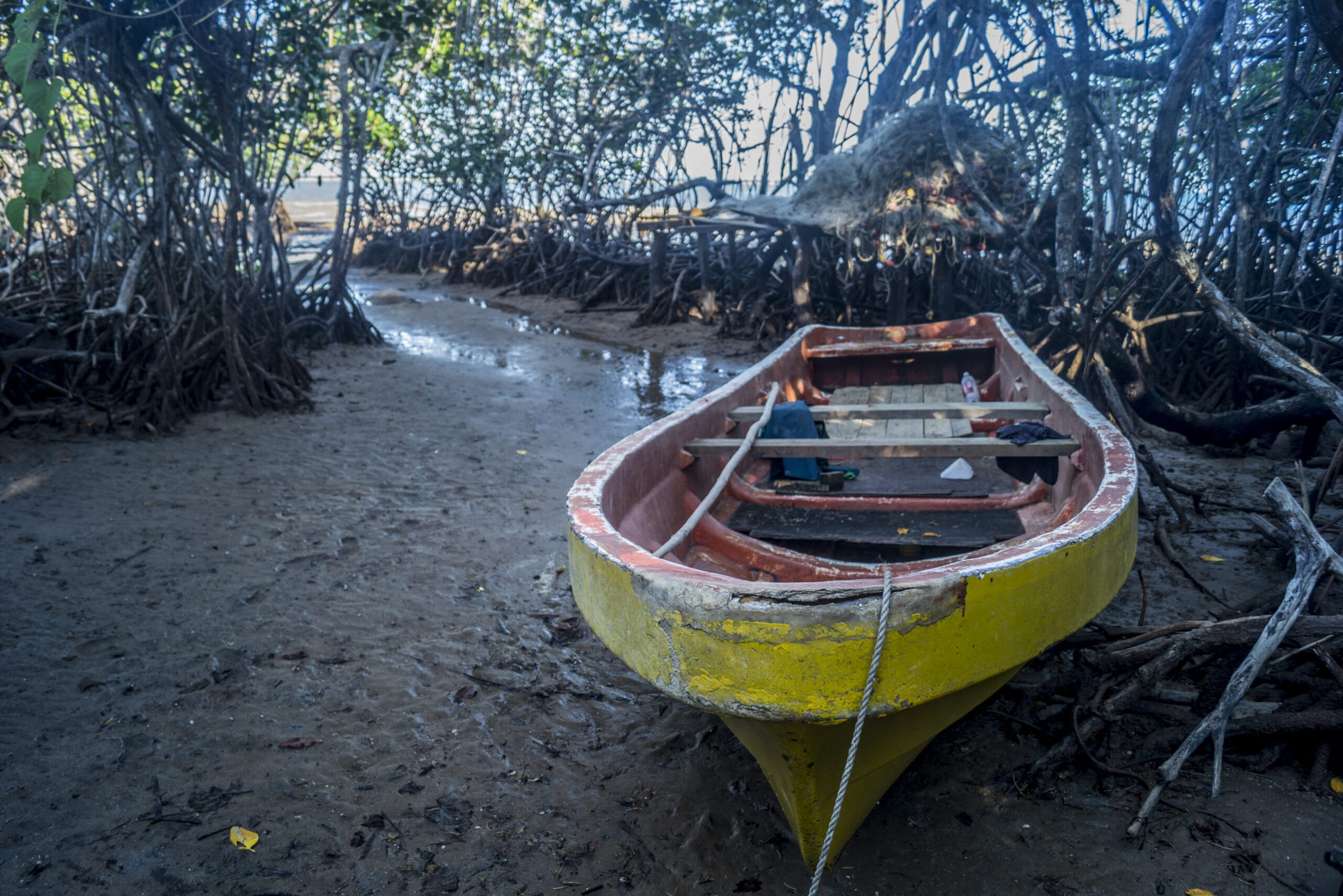 Boat on  the shore at Waidroka Bay Resort