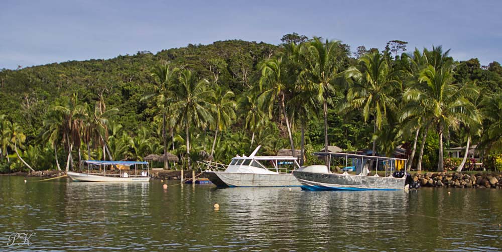 Waidroka fleet of boats