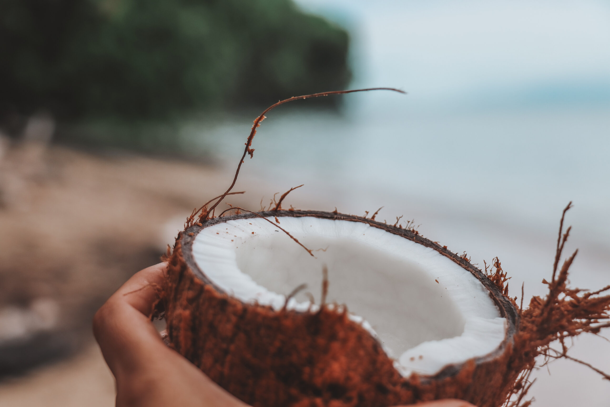 Coconut opening