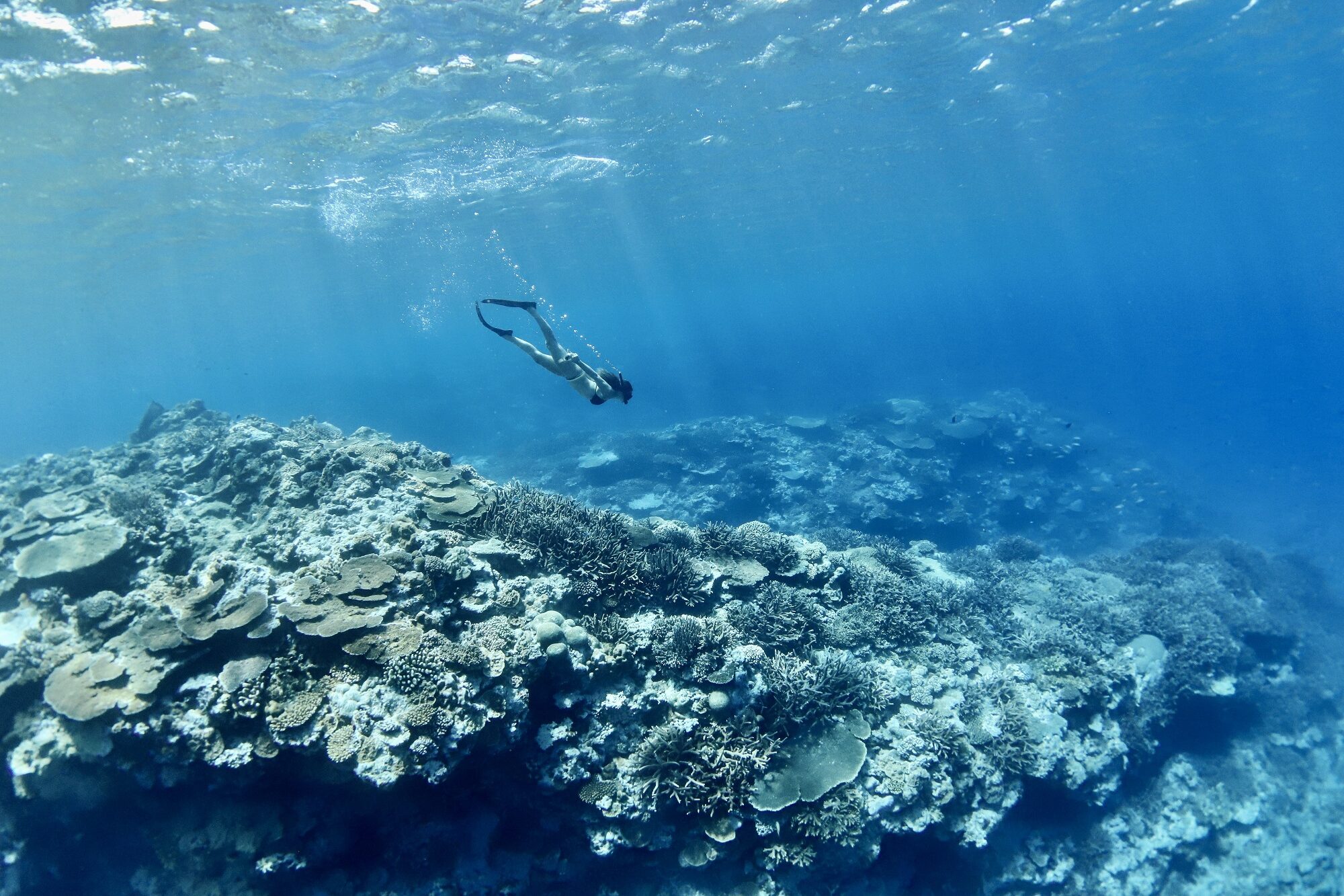 Snorkeling Pipe