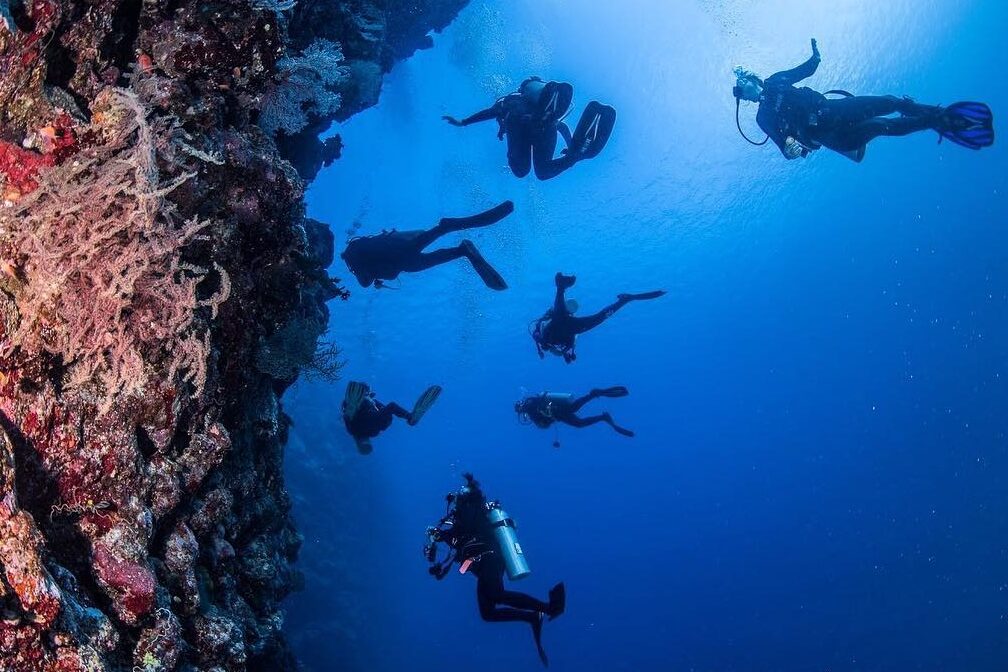 Divers underwater at Frigates Walls