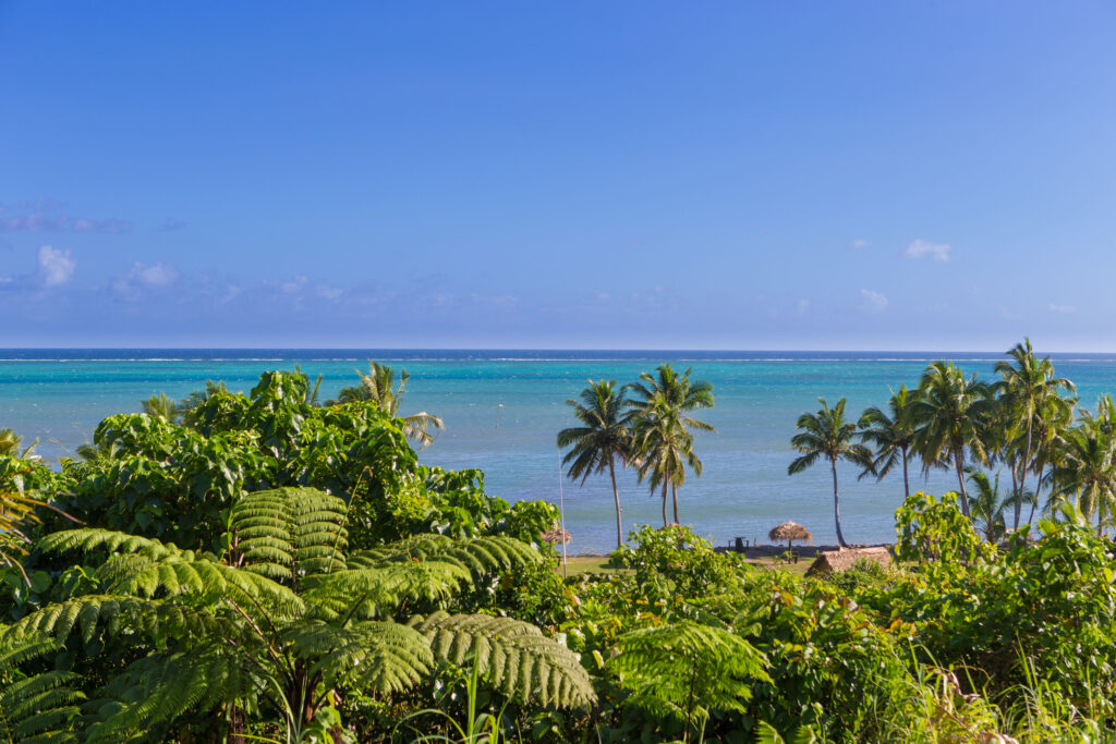 Panoramic ocean view
