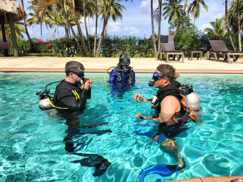 Learn to dive in Waidroka's pool