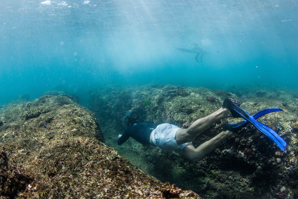 Snorkeling adventure