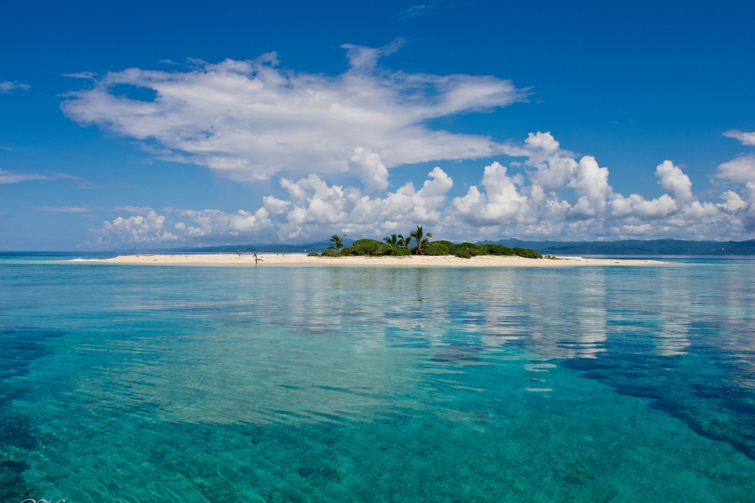 Snorkeling at Bird Island