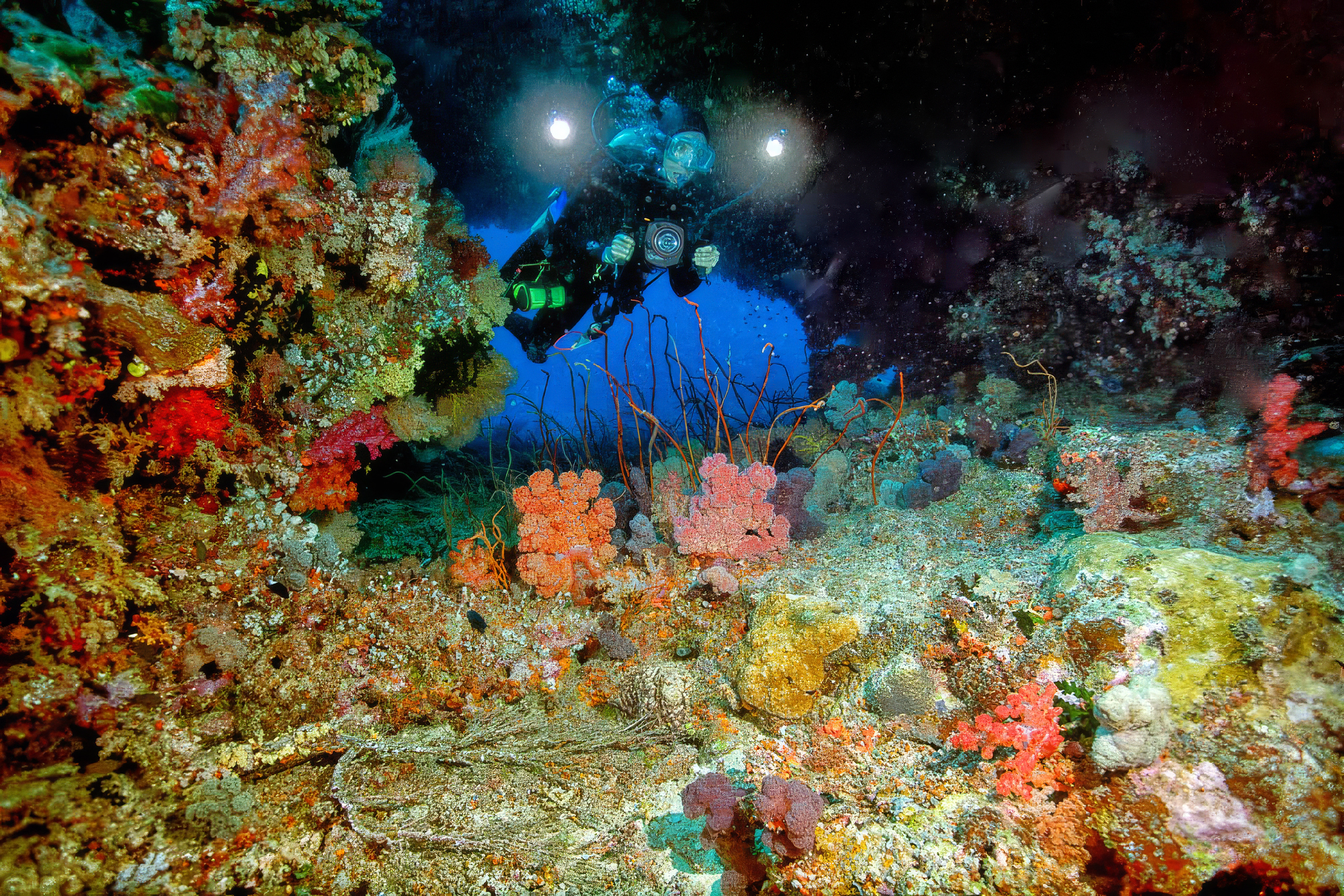 Golden Arches dive site