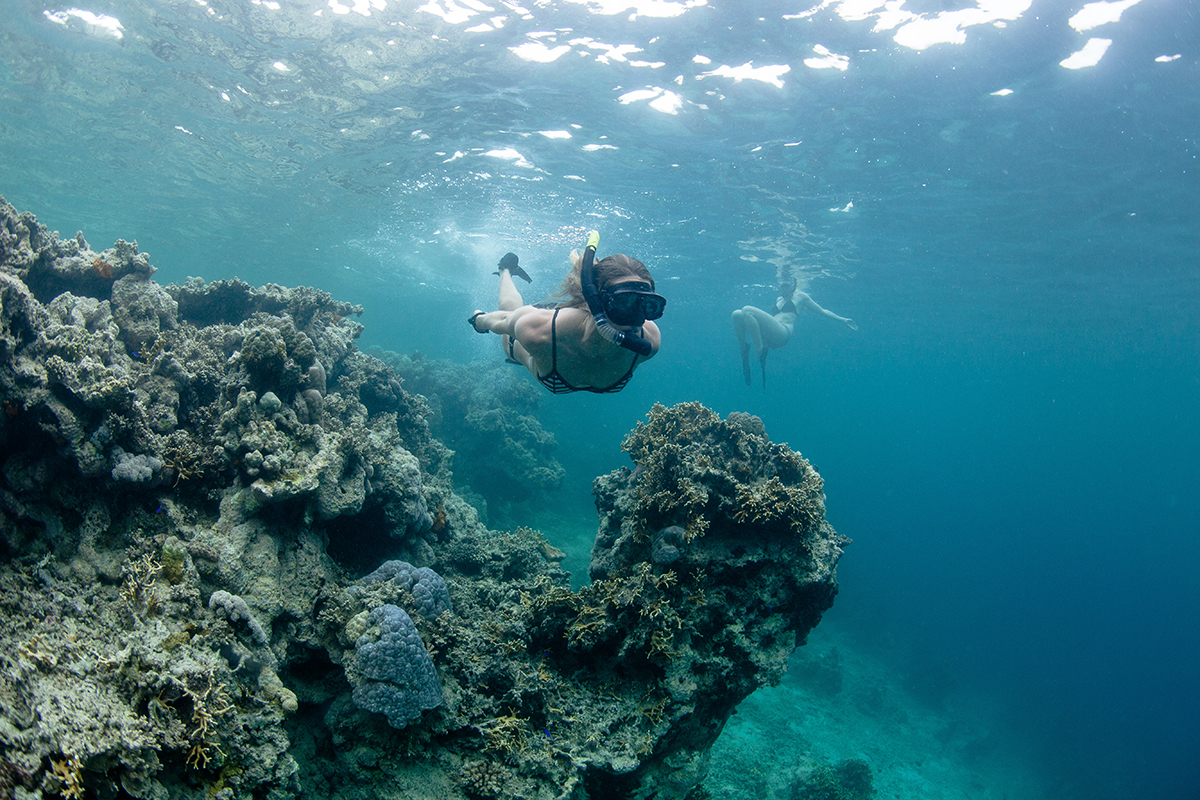 Snorkeling