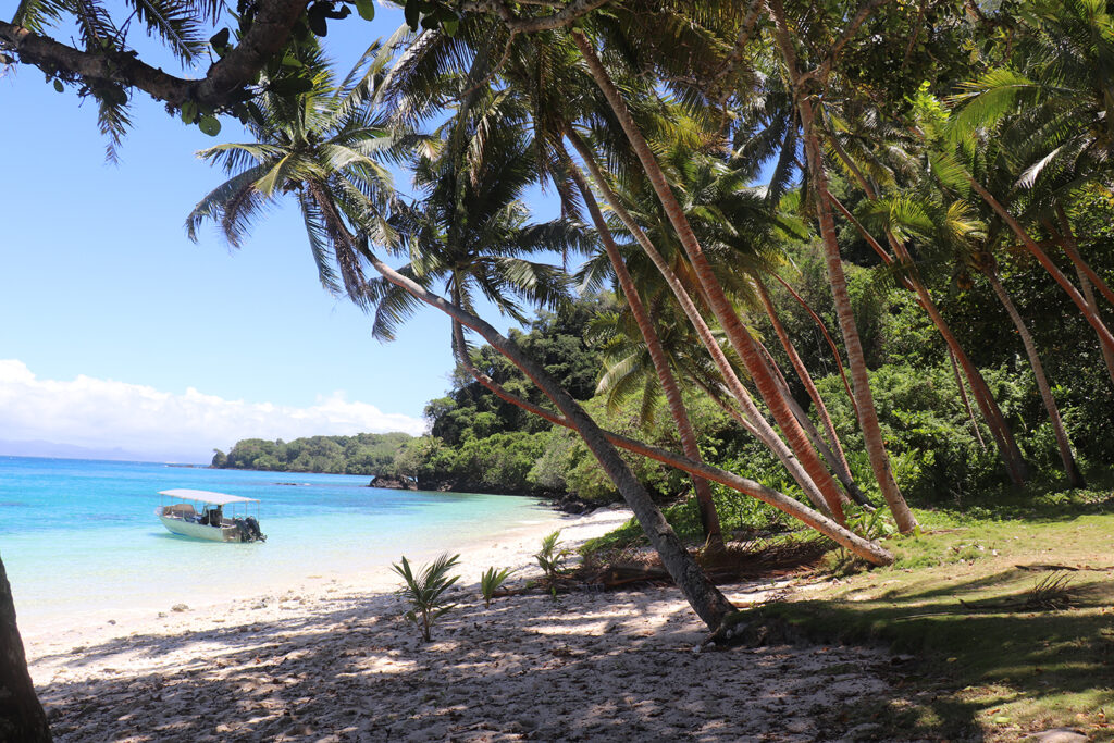 Parked on a remote beach for a picnic