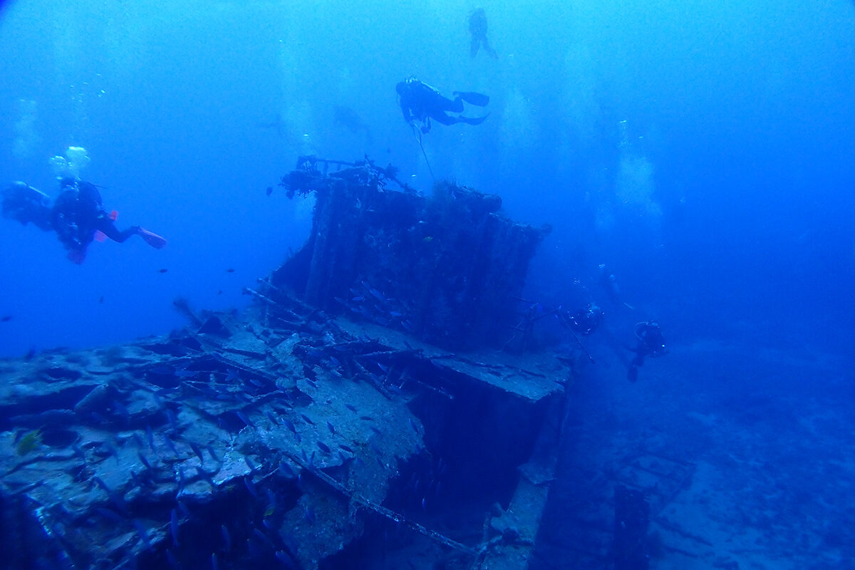 Diving the Tasu wreck