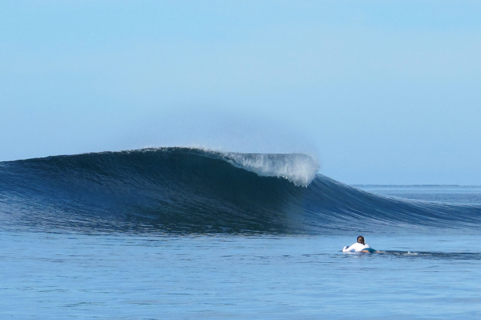 Shifties Glassy