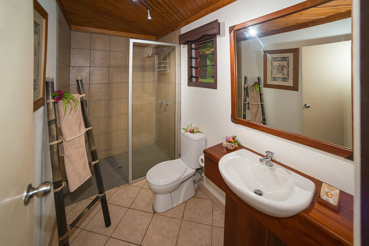 Superior Deluxe Ocean View Bure bathroom