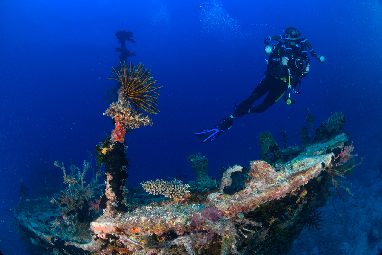 Diver at the Tasu wreck