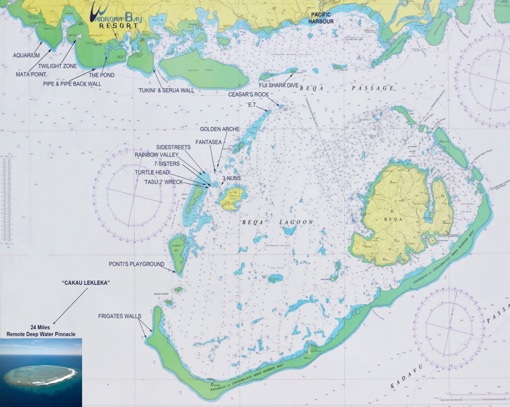 Dive sites near Waidroka Bay Resort