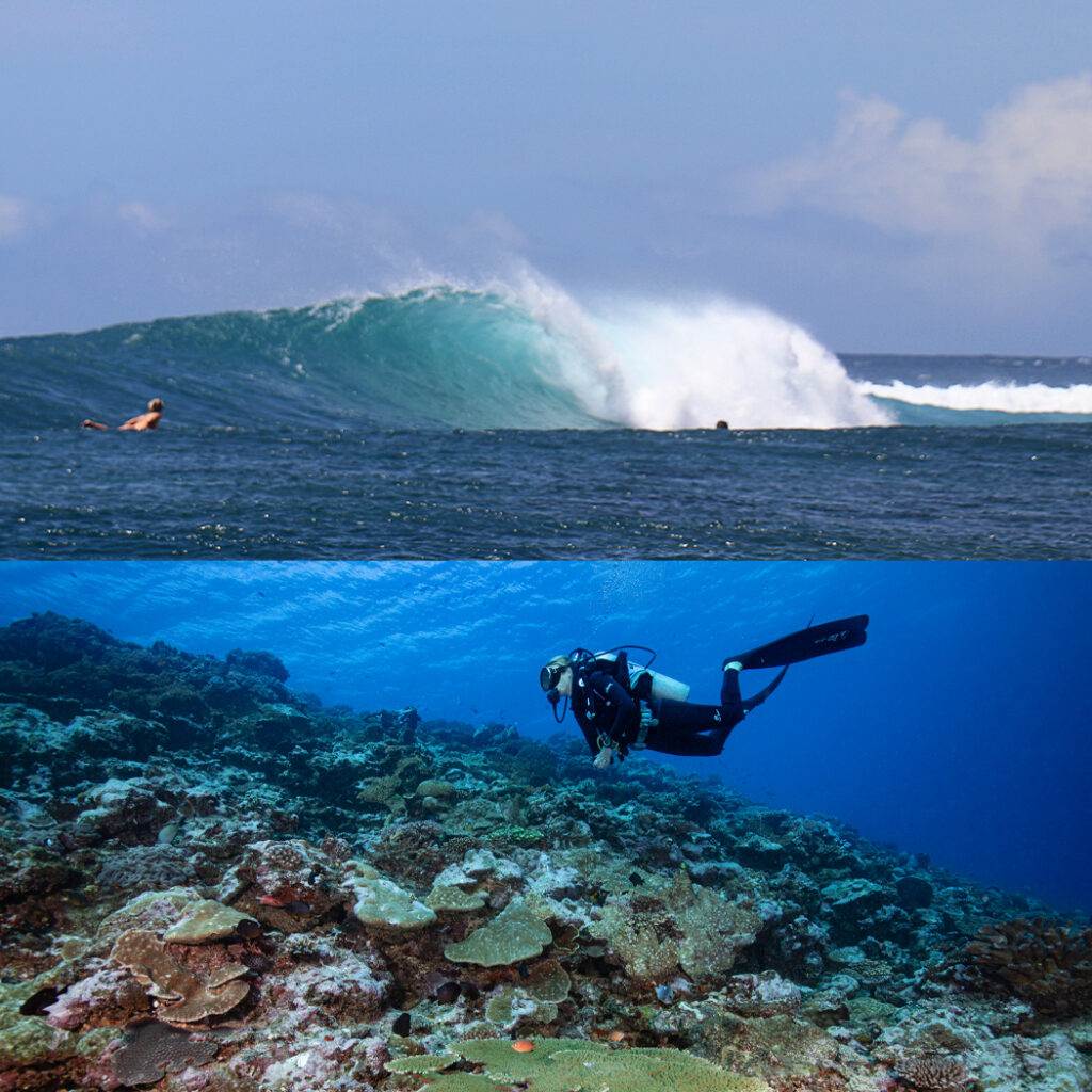 dive and surf package